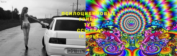 ALPHA PVP Алзамай